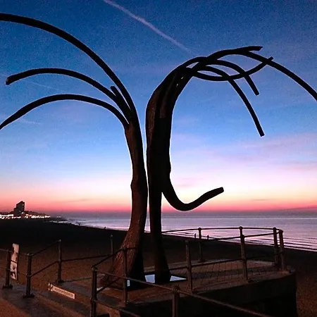 Comfort Aan Zee Ostende