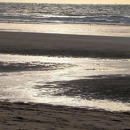 Comfort Aan Zee *