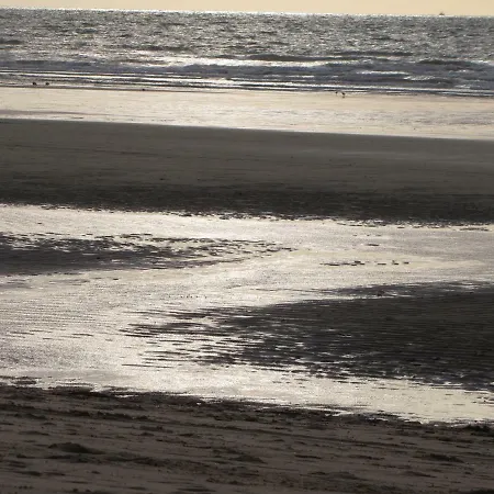 Comfort Aan Zee Guestrooms 4*