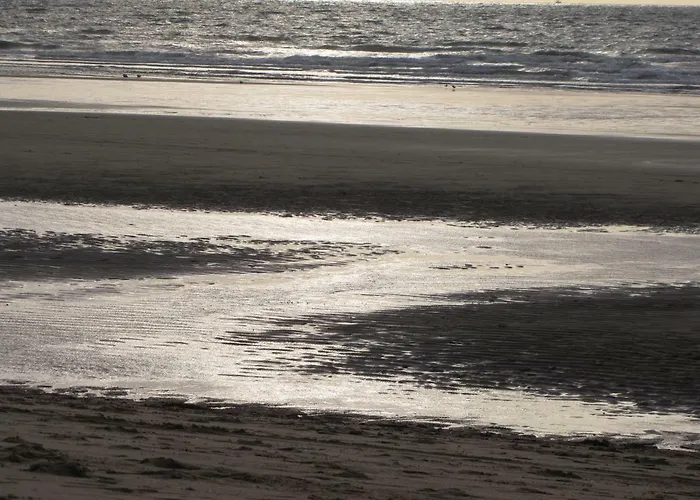 Comfort Aan Zee Guestrooms 4*